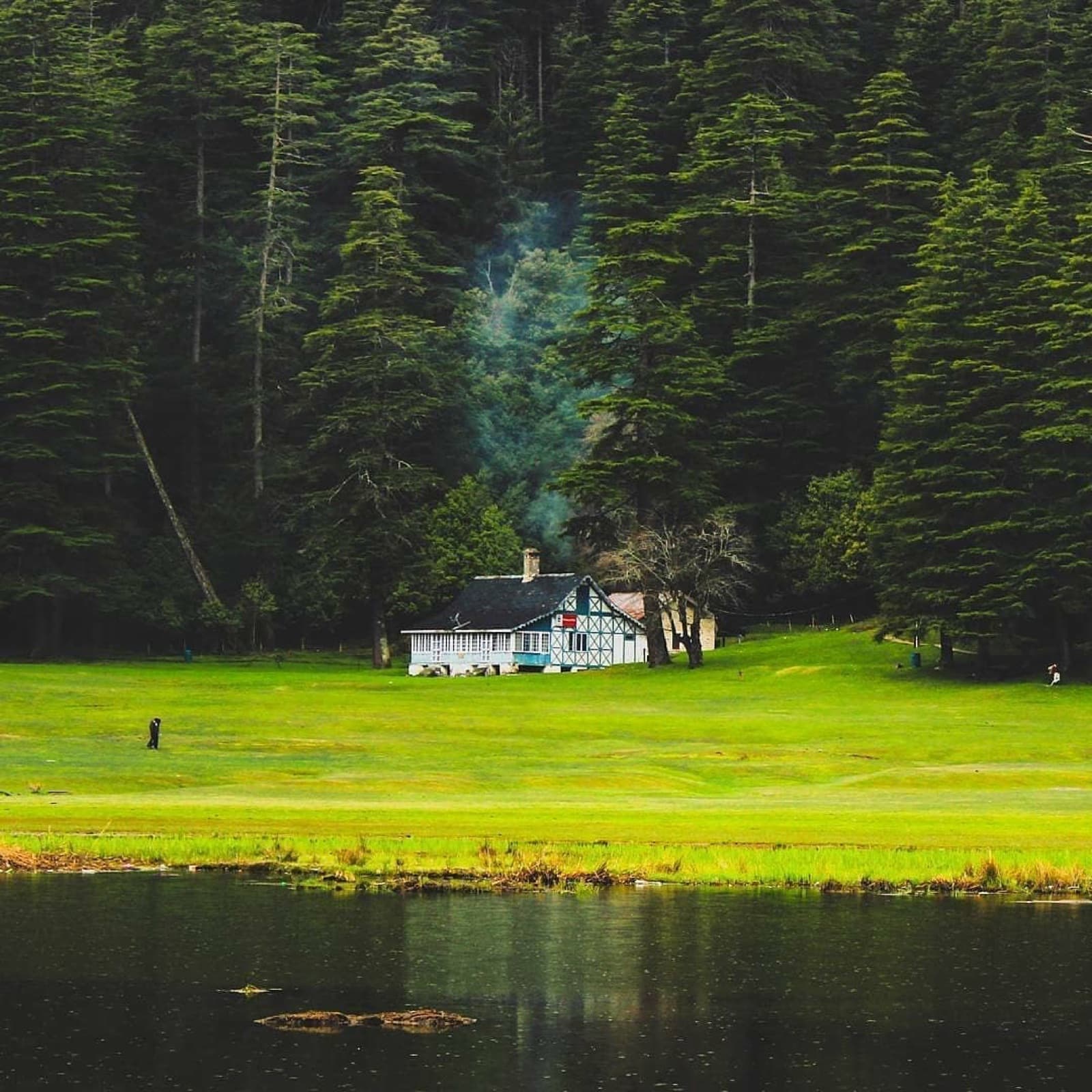 The green meadow and forest of Khajjiar, the Mini Switzerland of India